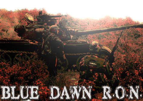 skymods men of war|Rise of Nationality mod for Men of War: Assault Squad 2.
